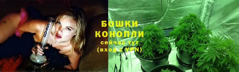 Шишки марихуана SATIVA & INDICA  Никольское 